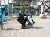 s Bild