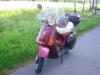 s Bild