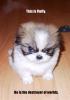 s Bild