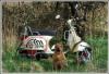 s Bild
