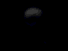 s Bild