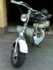 s Bild