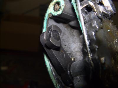 Angehängte Bilder: CIMG4251_Bildgröße ändern.JPG