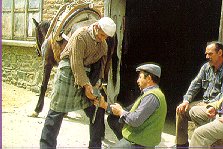 Angehängte Bilder: nalbant.jpg