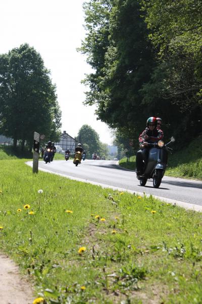 Angehängte Bilder: IMG_0640gsf2.jpg