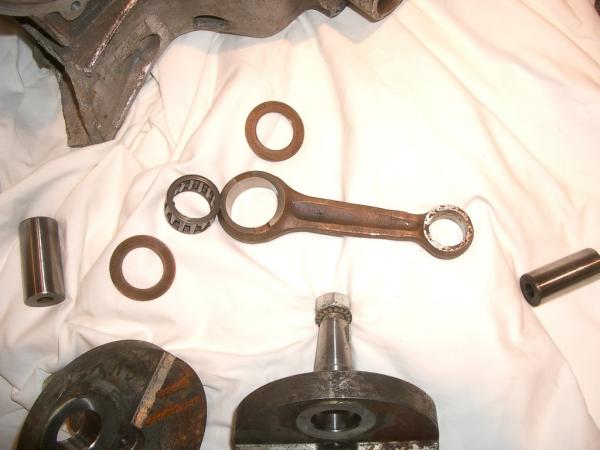 Angehängte Bilder: protopleul.jpg