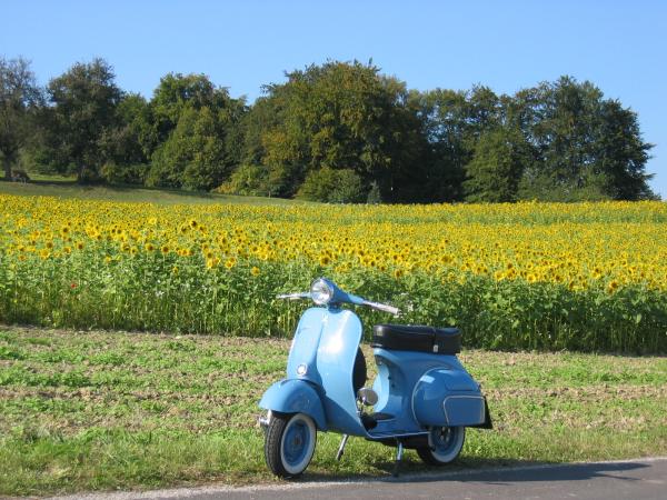 Angehängte Bilder: 76.JPG