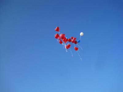 Angehängte Bilder: IMG_4893.JPG