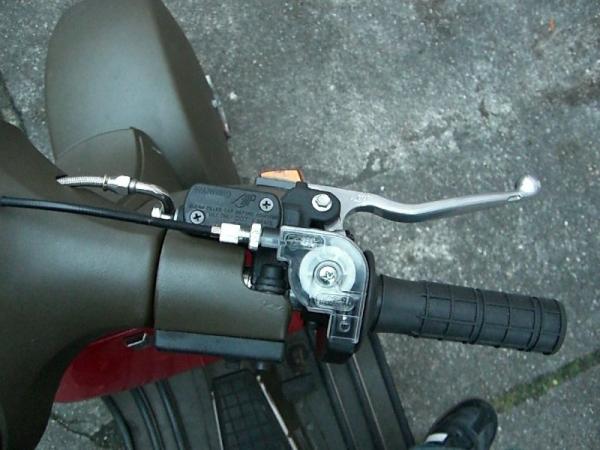Angehängte Bilder: elbratte1.jpg