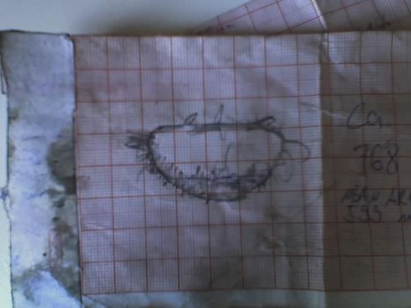 Angehängte Bilder: portmap_auslass.jpg