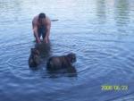 s Bild