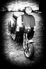 s Bild