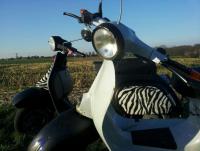 s Bild