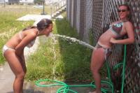 s Bild