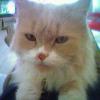 s Bild